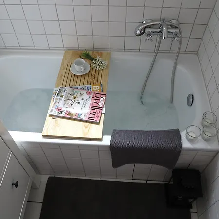 Pod Lipou Apartment *