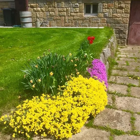 Apartment Pod Lipou Humpolec